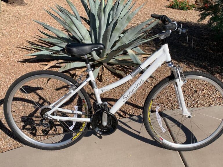 bicycle for 300 lb woman